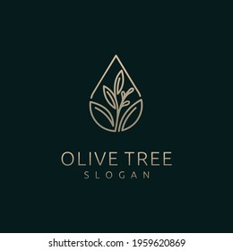Olive tree logo with droplet concept