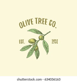 olive tree logo engraved or hand drawn, isolated old looking emblem for ecology, camping or food branding