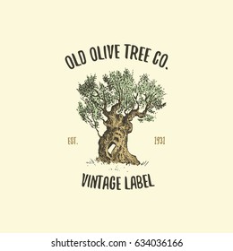 olive tree logo engraved or hand drawn, isolated old looking emblem for ecology, camping or food branding