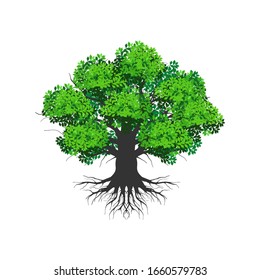 Olive Tree Logo. Giant Tree With Roots Icon Vector Isolated On White.