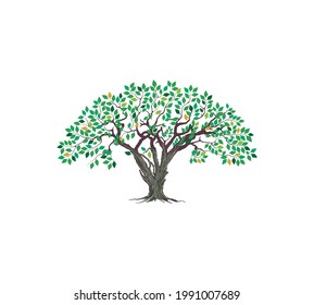 olive tree logo isolated on white background