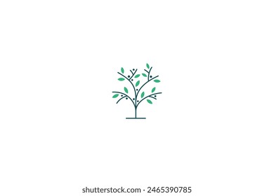 olive tree logo in line art design style