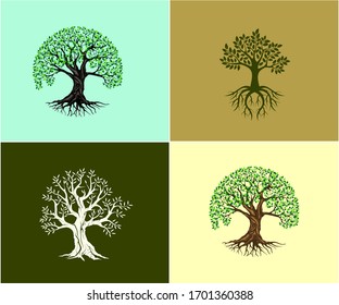 Olive Tree logo and roots design template. Premium quality Nature logo collections.