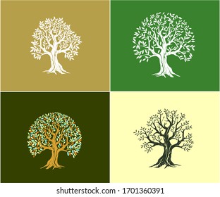 Olive Tree logo and roots design template. Premium quality Nature logo collections.