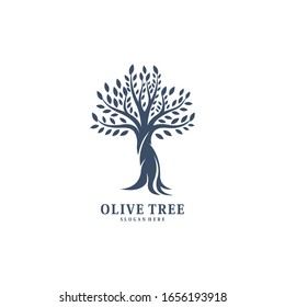 olive tree logo vector design