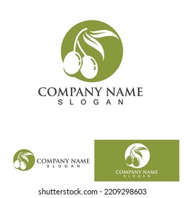 Olive tree logo vector illustration design template