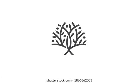 13,724 Olive tree logo Images, Stock Photos & Vectors | Shutterstock