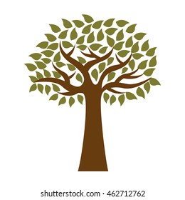 olive tree natural icon vector illustration design