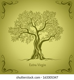 Olive tree . Olive oil. Vector  olive tree. For labels, pack.