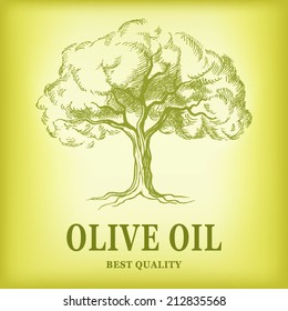 Olive tree . Olive oil. Vector  olive tree. For labels, pack.