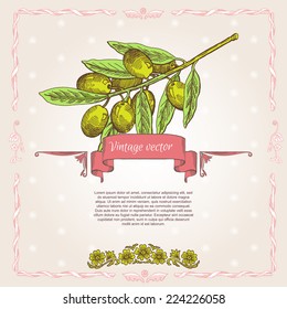 Olive tree on vintage paper. Olive oil. Vector olive tree. For labels, pack.