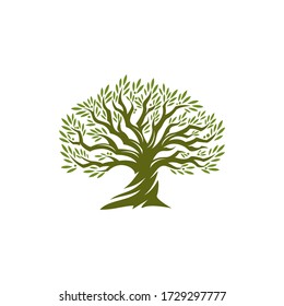 Olive tree on vintage style. Olive oil. Vector olive tree. For labels, pack.