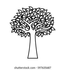 olive tree plant isolated icon vector illustration design