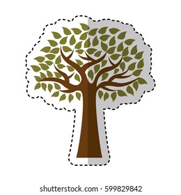 olive tree plant isolated icon vector illustration design