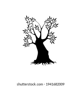 Icono de silueta de árbol de oliva aislado en fondo blanco. Información web gráfico de signo vectorial moderno. Pictograma de diseño de logotipo de ilustración de calidad superior.