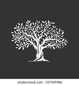 Olive tree silhouette icon isolated on dark background. Web infographic modern vector sign. Premium quality illustration logo design concept pictogram.