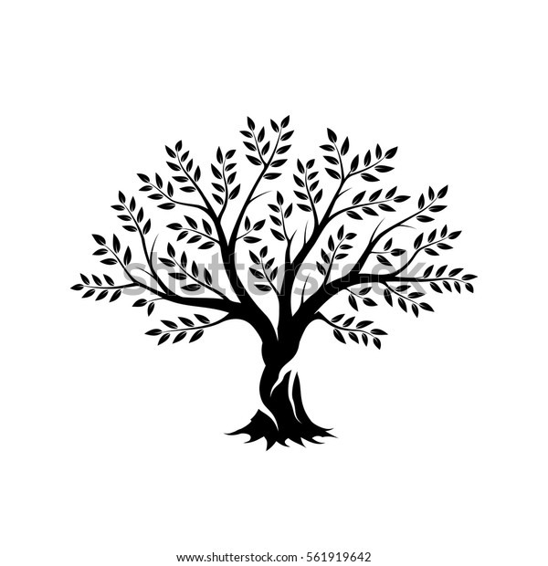 Download Immagine vettoriale stock 561919642 a tema Olive Tree ...