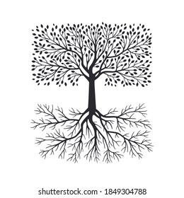 Olivenbaumsilhouette mit Wurzeln einzeln auf weißem Hintergrund. Vektorgrafik. Premium-Qualität extra natives Öl, Naturlogo