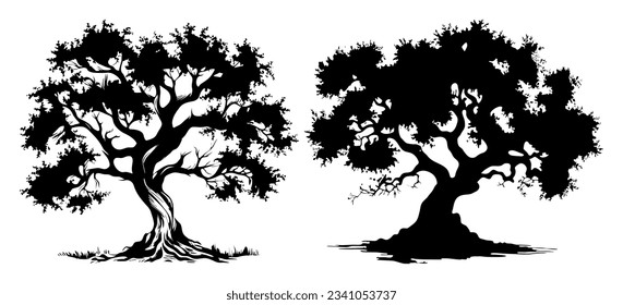Olivenbaumsilhouette