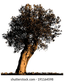 Olive Tree silhouette, vector