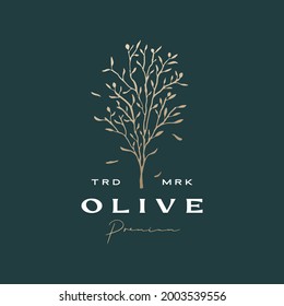 olive tree sophisticated aesthetic logo vector icon illustration