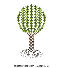 Olive tree - symbolic drawing of an olive tree. Vector illustration