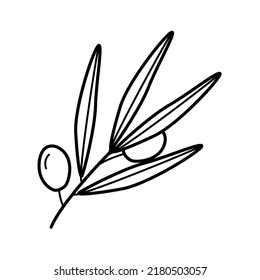 Olive tree twigs and leaves and olive berries. Vector illustration