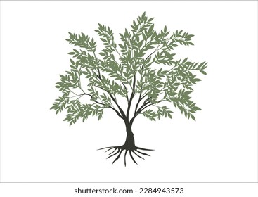 diseño del vector del árbol de olivo 