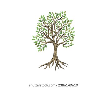 olive tree vector hand drawing, tree roots