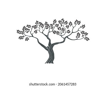 Olivenbaum, Vektorgrafik, Acacia-Baumsilhouette
