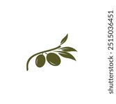 Olive tree vector illustration design template