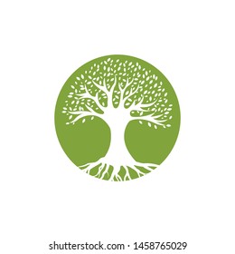 Olive tree vector illustration design template