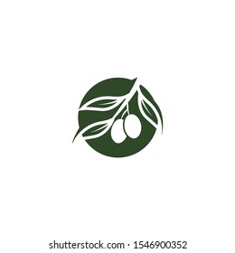 Olive tree vector illustration design template