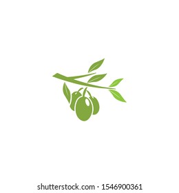 Olive tree vector illustration design template