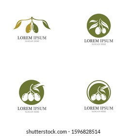 Olive tree vector illustration design template