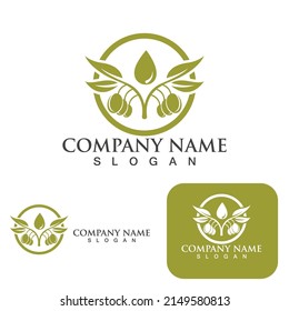 Olive tree vector illustration design template