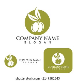 Olive tree vector illustration design template