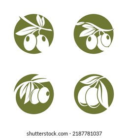 Olive tree vector illustration design template