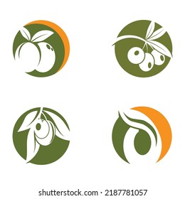 Olive tree vector illustration design template