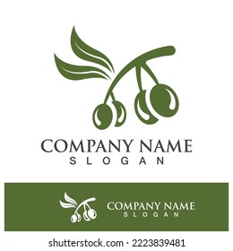 Olive tree vector illustration design template
