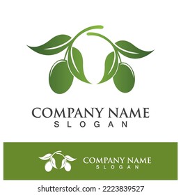 Olive tree vector illustration design template