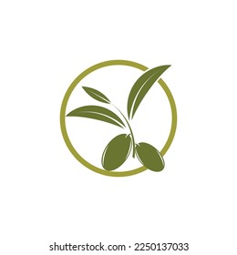 Olive tree vector illustration design template