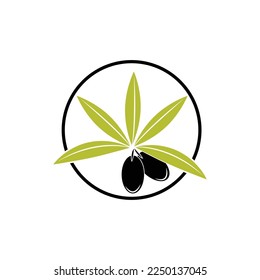 Olive tree vector illustration design template