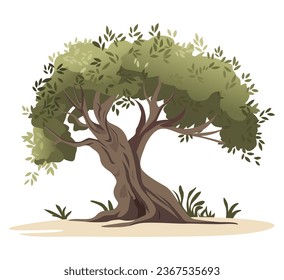 Olive tree vector illustration. Hand drawn watercolor. Vector illustration design