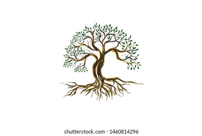 Olive tree vector illustration. roots of banyan tree.  plant with hand drawn style