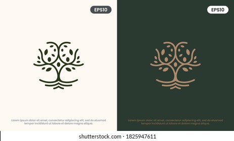 Olive Tree vector line icon. Nature trees vector illustration logo. Modern design.