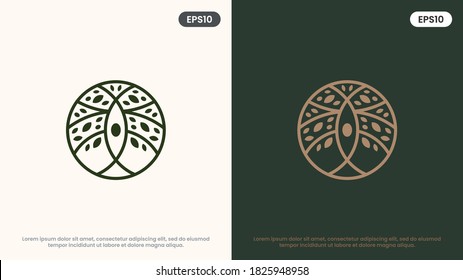 Olive Tree vector line icon. Nature trees vector illustration logo. Modern design.