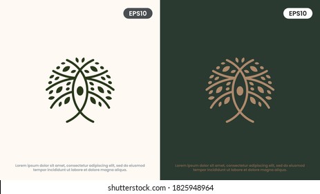 Olive Tree vector line icon. Nature trees vector illustration logo. Modern design.