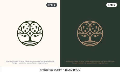 Olive Tree Vector Line Icon. Nature Trees Vector Illustration Logo. Modern Design.