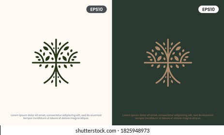 Olive Tree vector line icon. Nature trees vector illustration logo. Modern design.